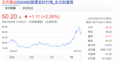 天齐锂业：不会被ST 正在论证降低公司债务的金融方法